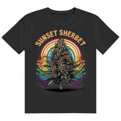 Divison420 Heavy Cotton T-Shirt Sunset Sherbet in modernem Tubular Fit aus 100% Baumwolle mit nachhaltiger Produktion