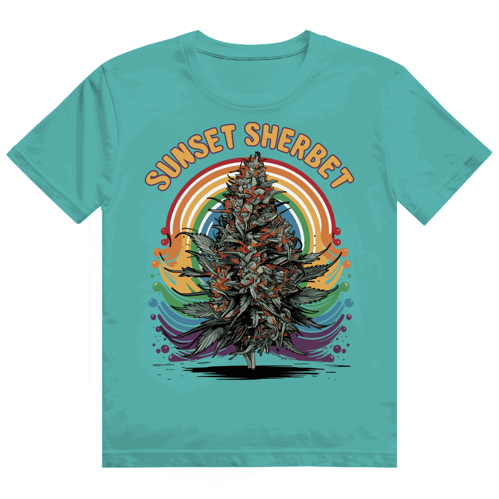Heavy Cotton T-Shirt - Sunset Sherbet | Division420®