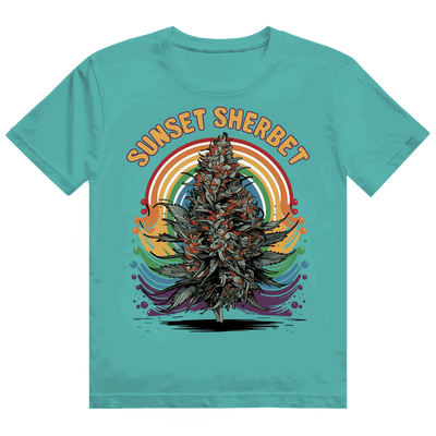 Heavy Cotton T-Shirt - Sunset Sherbet | Division420®