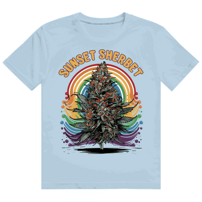 Heavy Cotton T-Shirt - Sunset Sherbet | Division420®