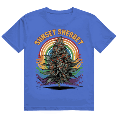 Heavy Cotton T-Shirt - Sunset Sherbet | Division420®
