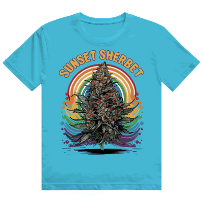 Heavy Cotton T-Shirt - Sunset Sherbet | Division420®