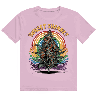 Heavy Cotton T-Shirt - Sunset Sherbet | Division420®