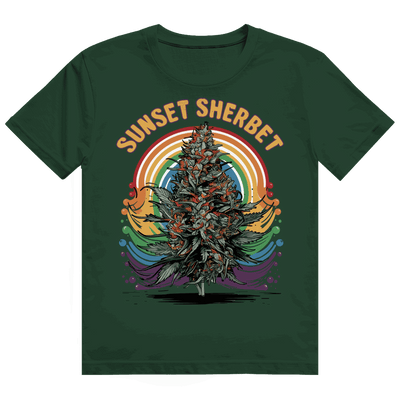 Heavy Cotton T-Shirt - Sunset Sherbet | Division420®