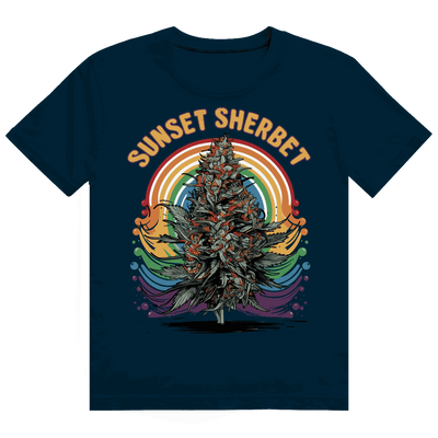 Heavy Cotton T-Shirt - Sunset Sherbet | Division420®