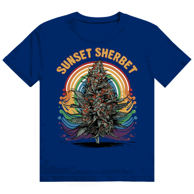 Heavy Cotton T-Shirt - Sunset Sherbet | Division420®