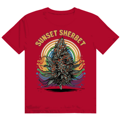 Heavy Cotton T-Shirt - Sunset Sherbet | Division420®