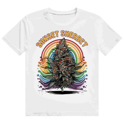 Heavy Cotton T-Shirt - Sunset Sherbet | Division420®