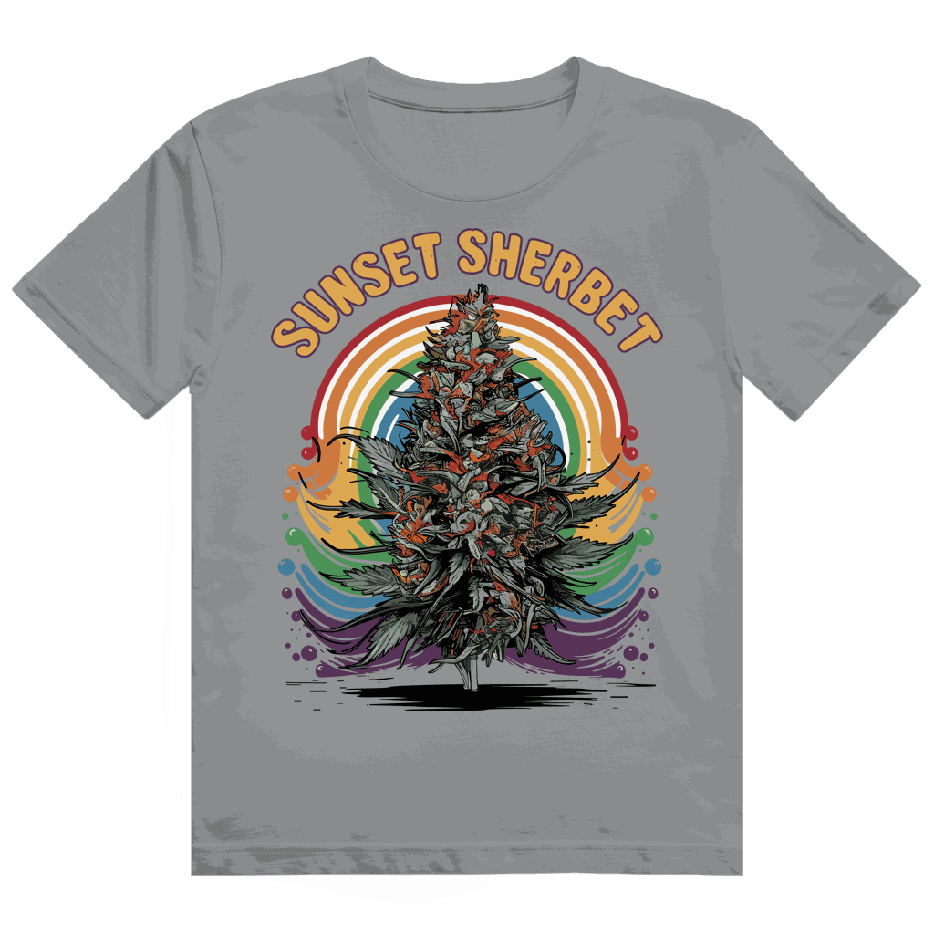 Heavy Cotton T-Shirt - Sunset Sherbet | Division420®