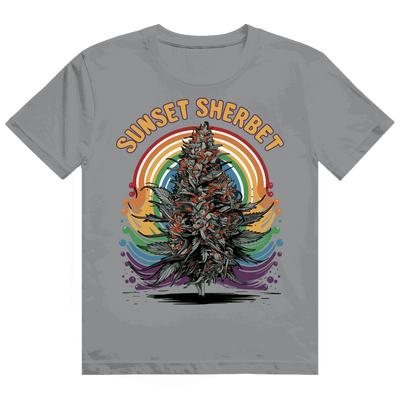 Heavy Cotton T-Shirt - Sunset Sherbet | Division420®