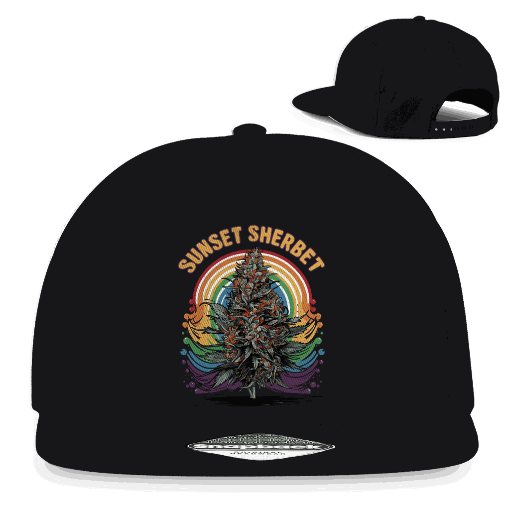 Snapback Rapper Cap - Sunset Sherbet | Division420®