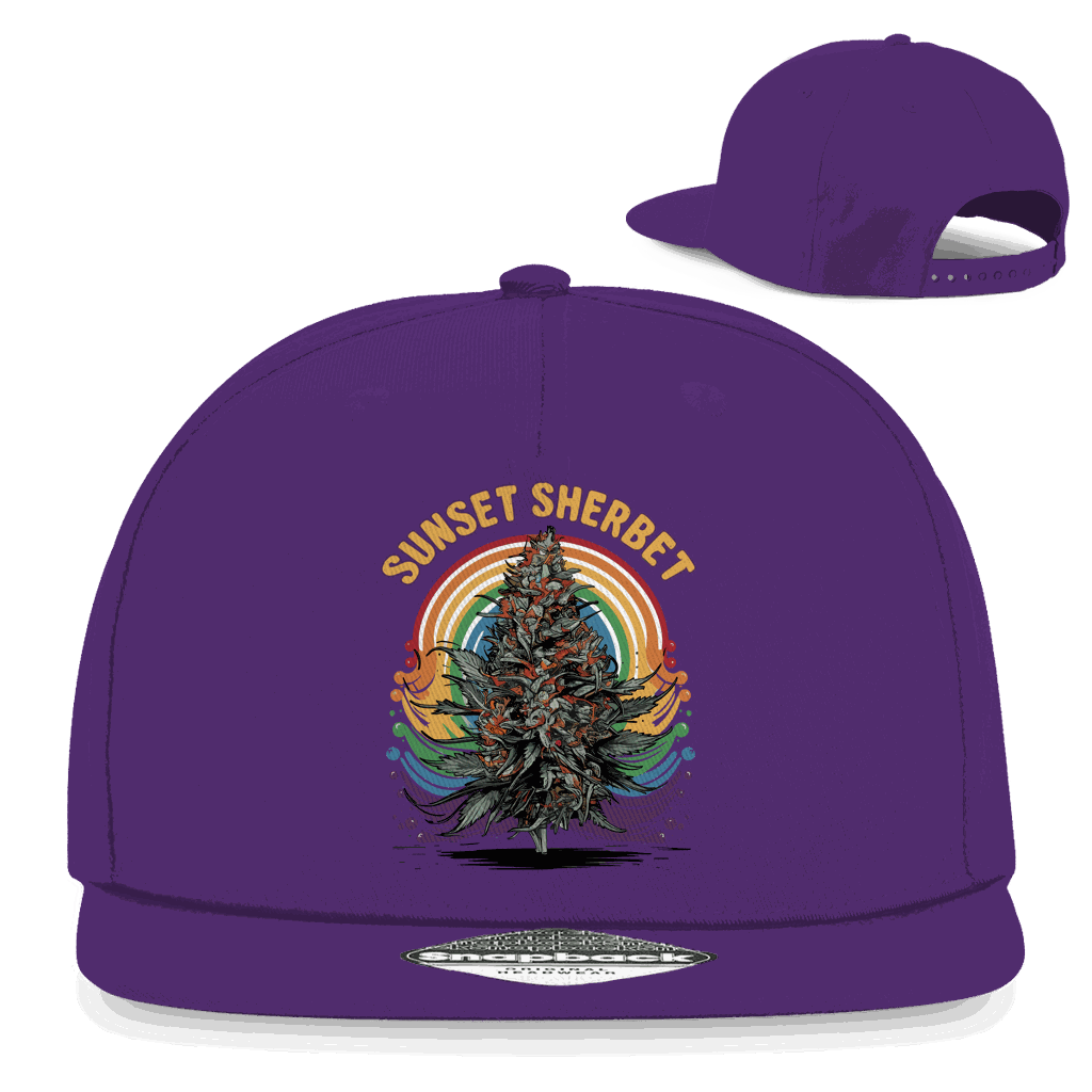 Snapback Rapper Cap - Sunset Sherbet | Division420®