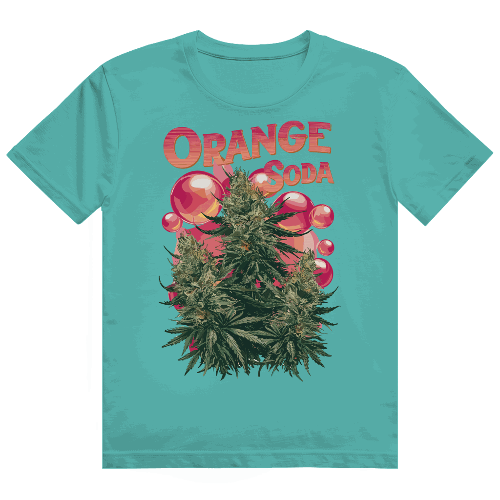 Heavy Cotton T-Shirt - Orange Soda | Division420®