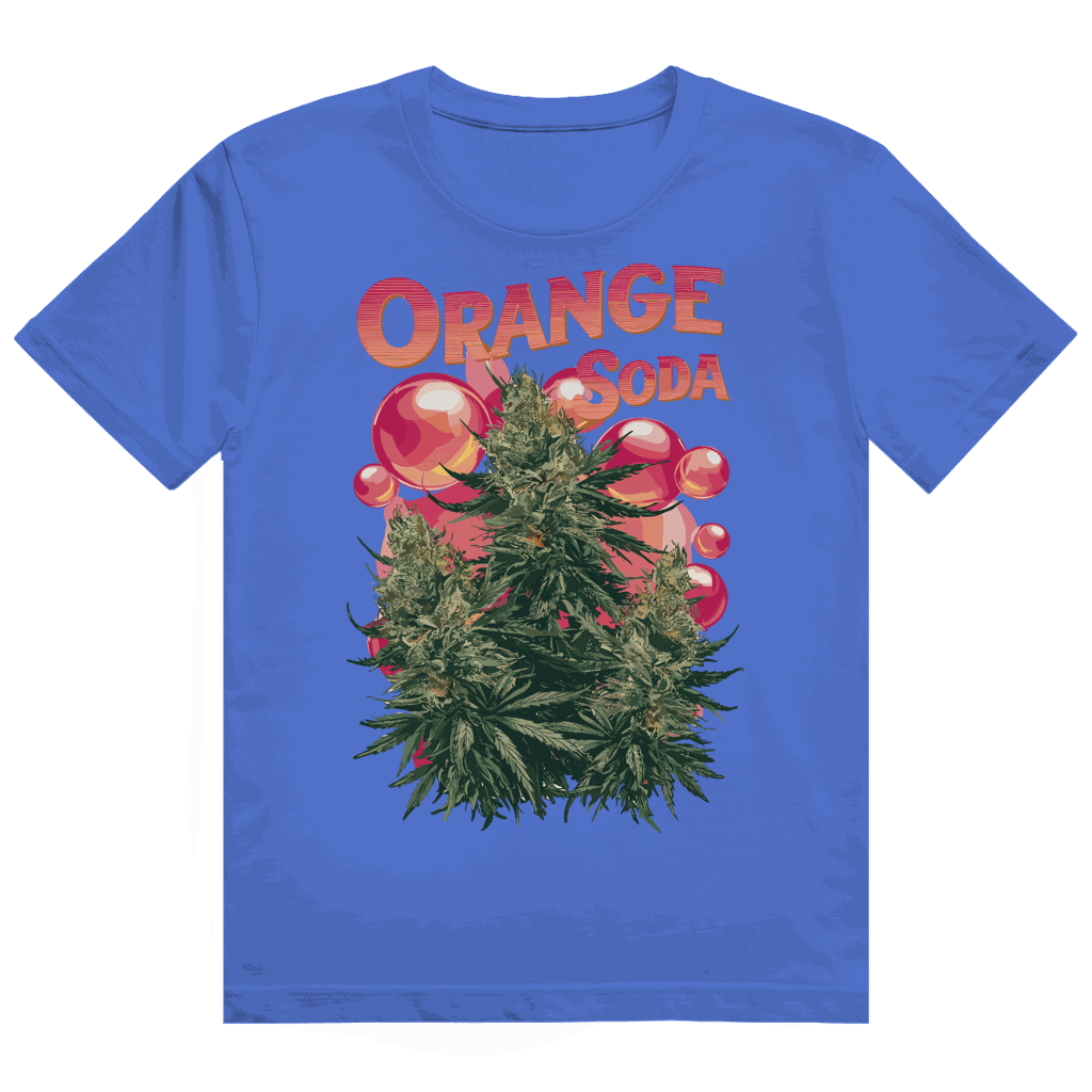 Heavy Cotton T-Shirt - Orange Soda | Division420®