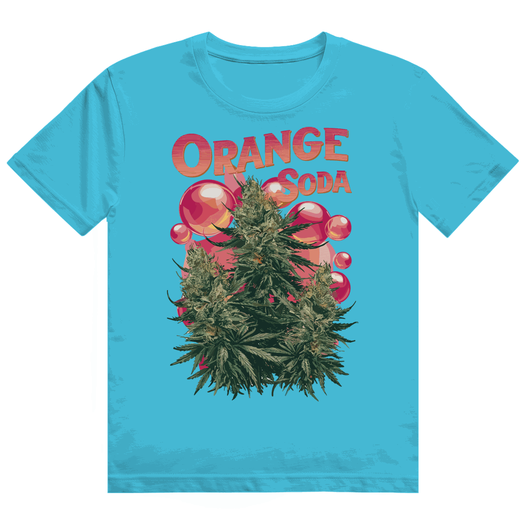 Heavy Cotton T-Shirt - Orange Soda | Division420®