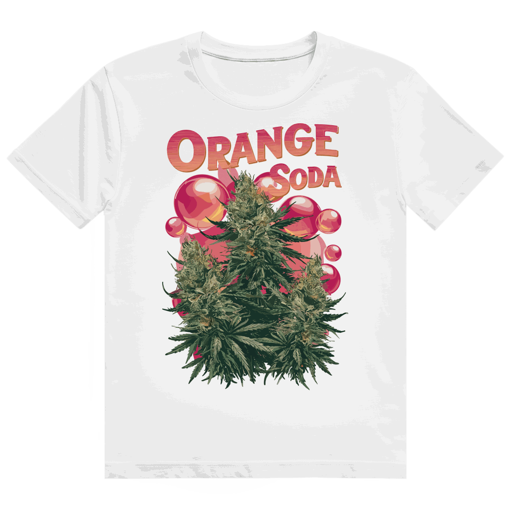 Orange Heavy Cotton T-Shirt von Division420 mit nachhaltigem Material und modernem Streetstyle