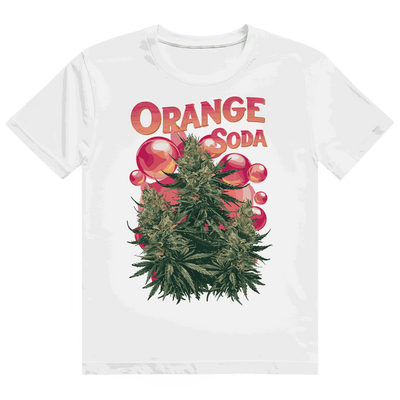 Orange Heavy Cotton T-Shirt von Division420 mit nachhaltigem Material und modernem Streetstyle