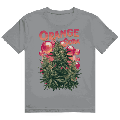 Heavy Cotton T-Shirt - Orange Soda | Division420®