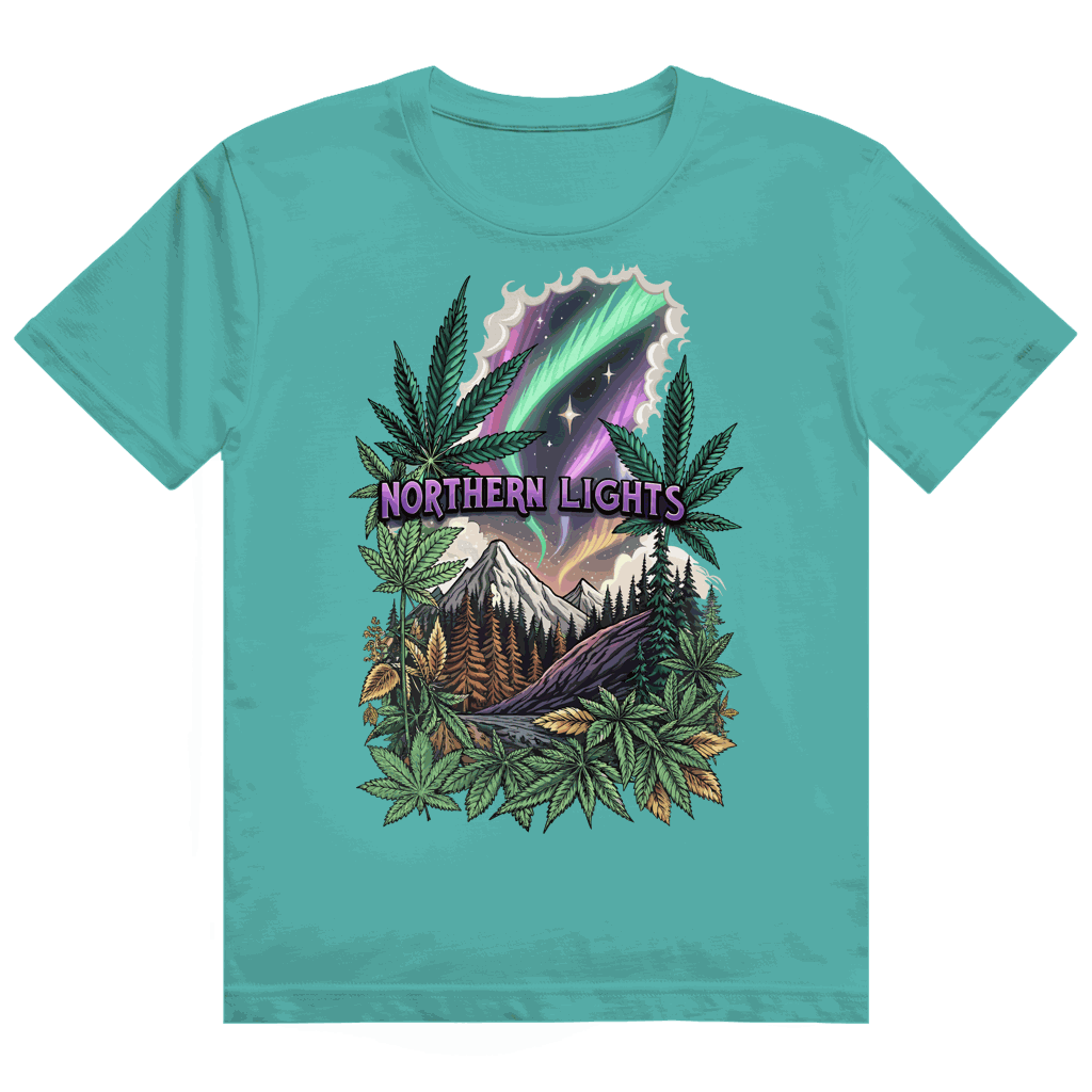 Heavy Cotton T-Shirt - Northern Lights | Division420®