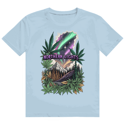 Heavy Cotton T-Shirt - Northern Lights | Division420®