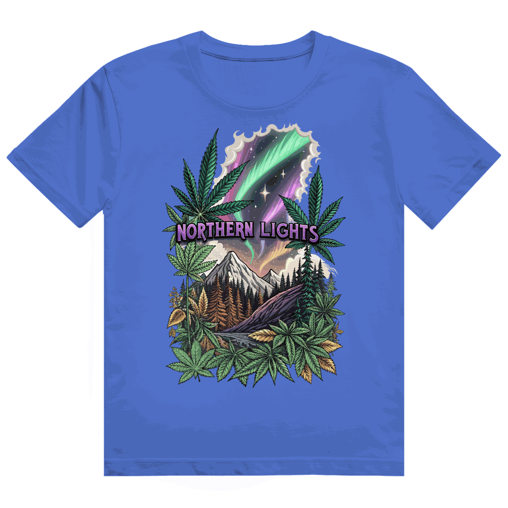 Heavy Cotton T-Shirt - Northern Lights | Division420®