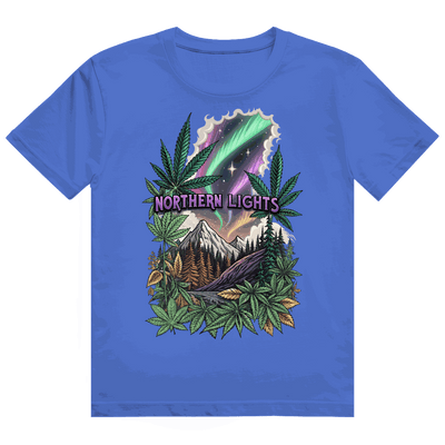 Heavy Cotton T-Shirt - Northern Lights | Division420®