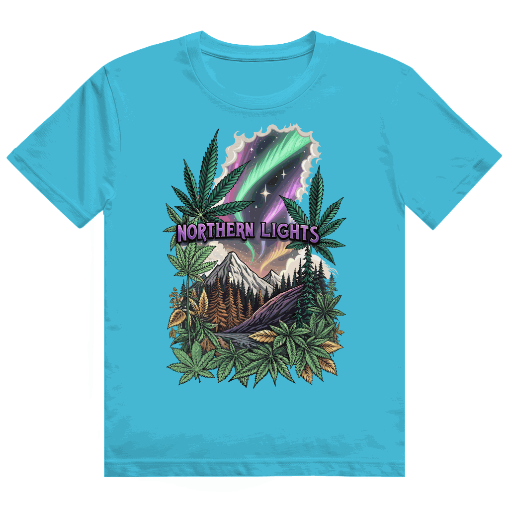 Heavy Cotton T-Shirt - Northern Lights | Division420®