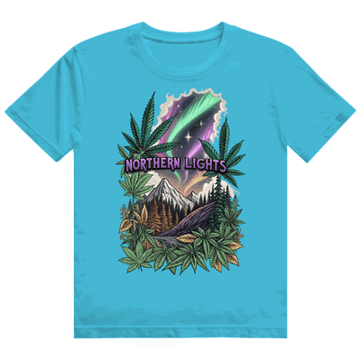 Heavy Cotton T-Shirt - Northern Lights | Division420®