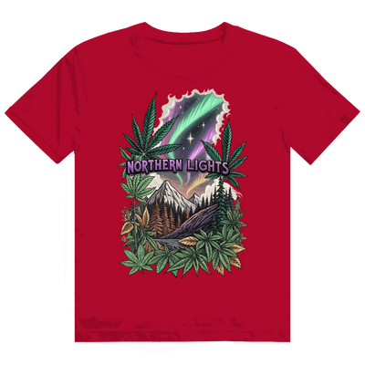 Heavy Cotton T-Shirt - Northern Lights | Division420®