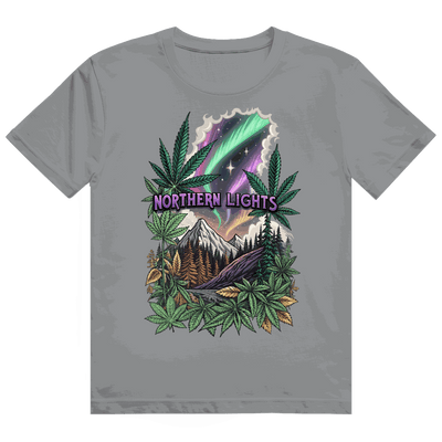 Heavy Cotton T-Shirt - Northern Lights | Division420®