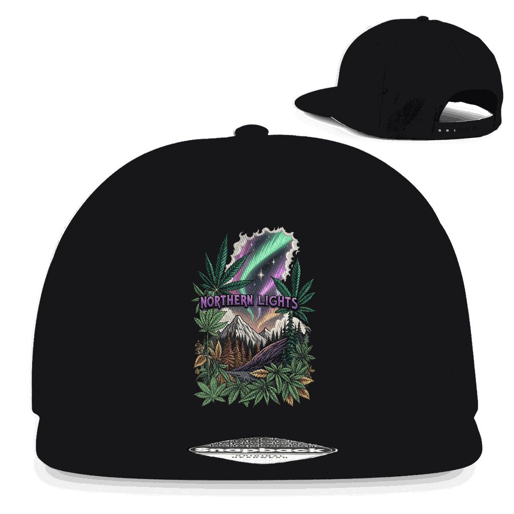 Snapback Rapper Cap - Northern Lights | Division420®