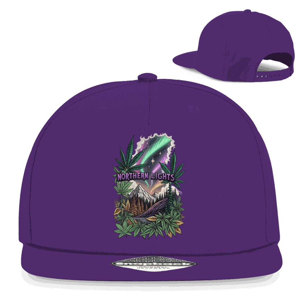 Snapback Rapper Cap - Northern Lights | Division420®