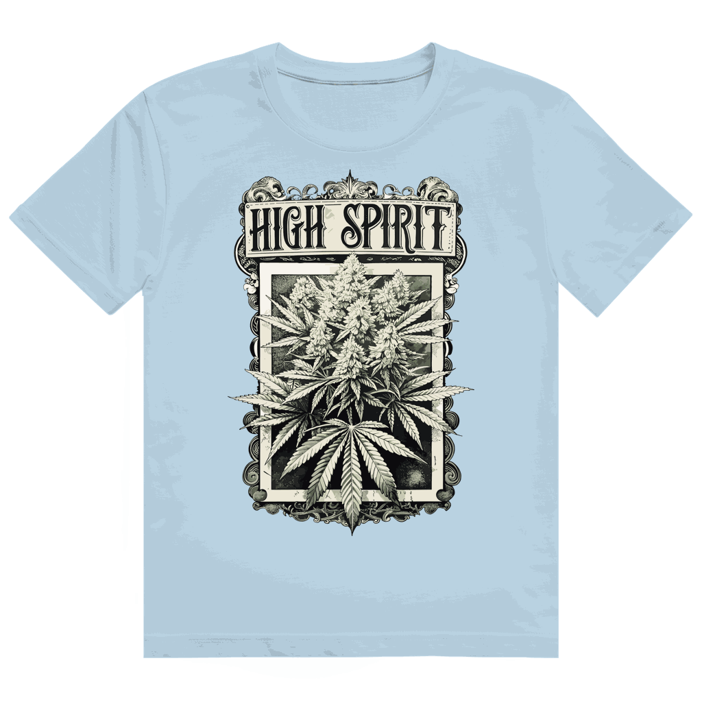 Heavy Cotton T-Shirt - High Spirit | Division420®