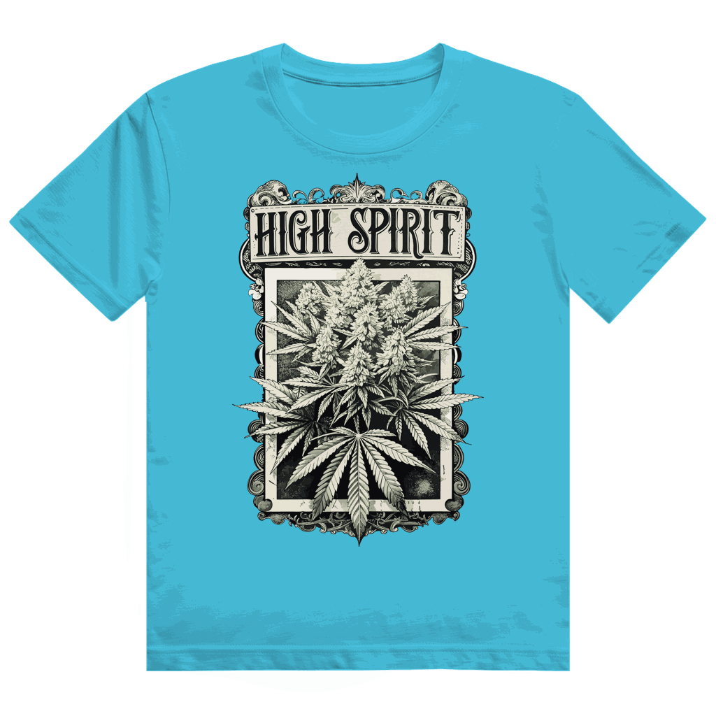 Heavy Cotton T-Shirt - High Spirit | Division420®