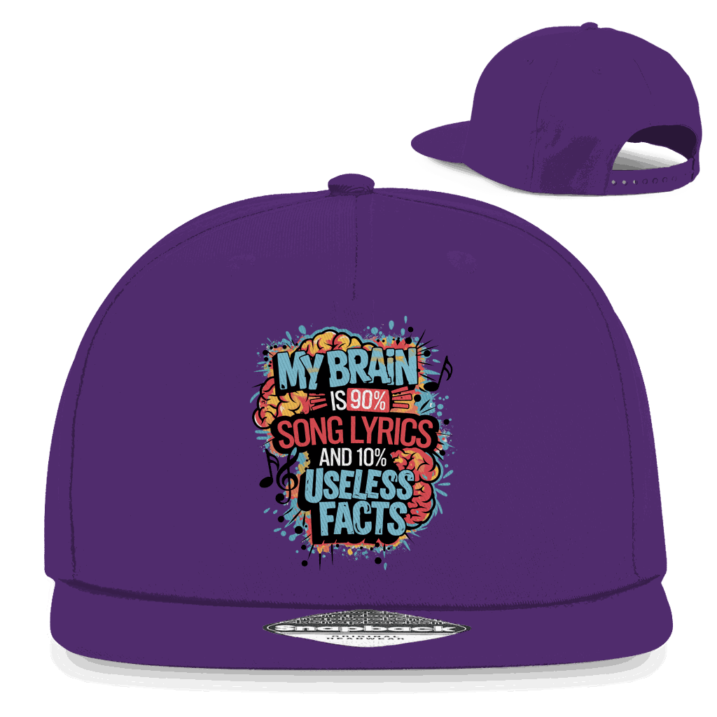 Snapback Rapper Cap - My Brain is 90% Song Lyrics | Division420®