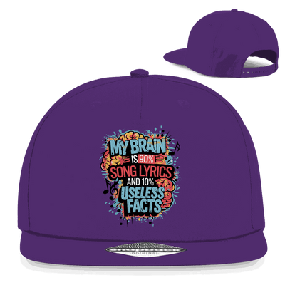 Snapback Rapper Cap - My Brain is 90% Song Lyrics | Division420®
