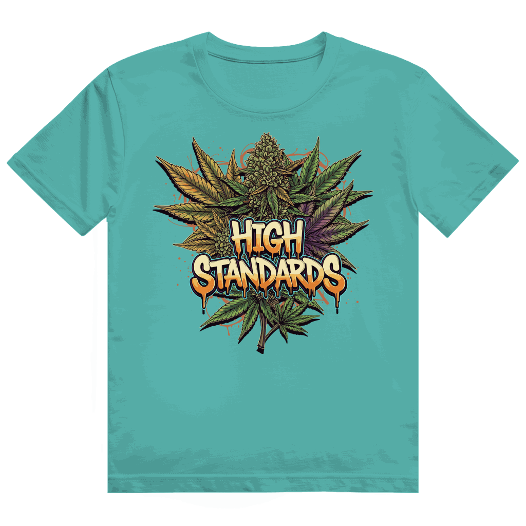 Heavy Cotton T-Shirt - High Standards | Division420®
