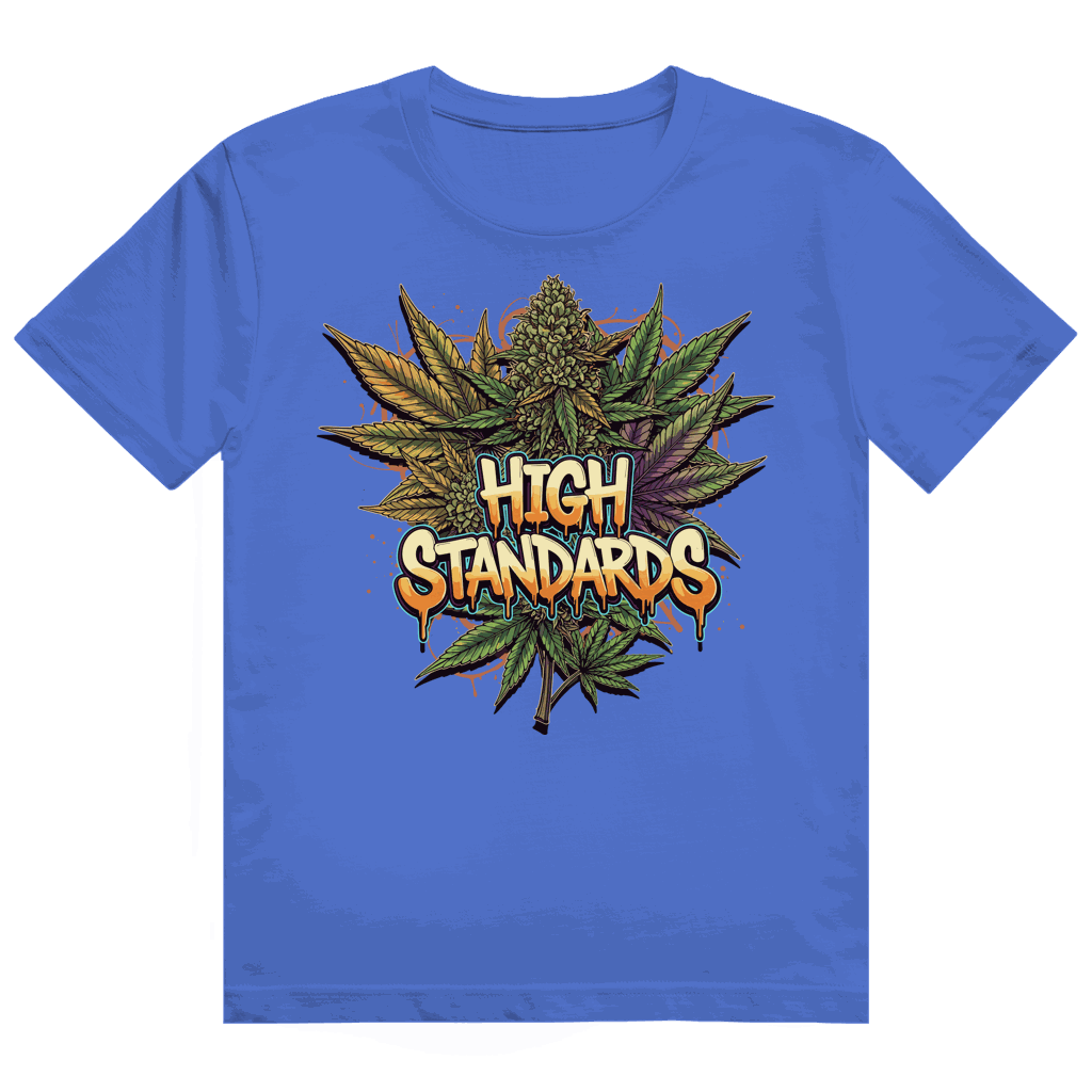 Heavy Cotton T-Shirt - High Standards | Division420®