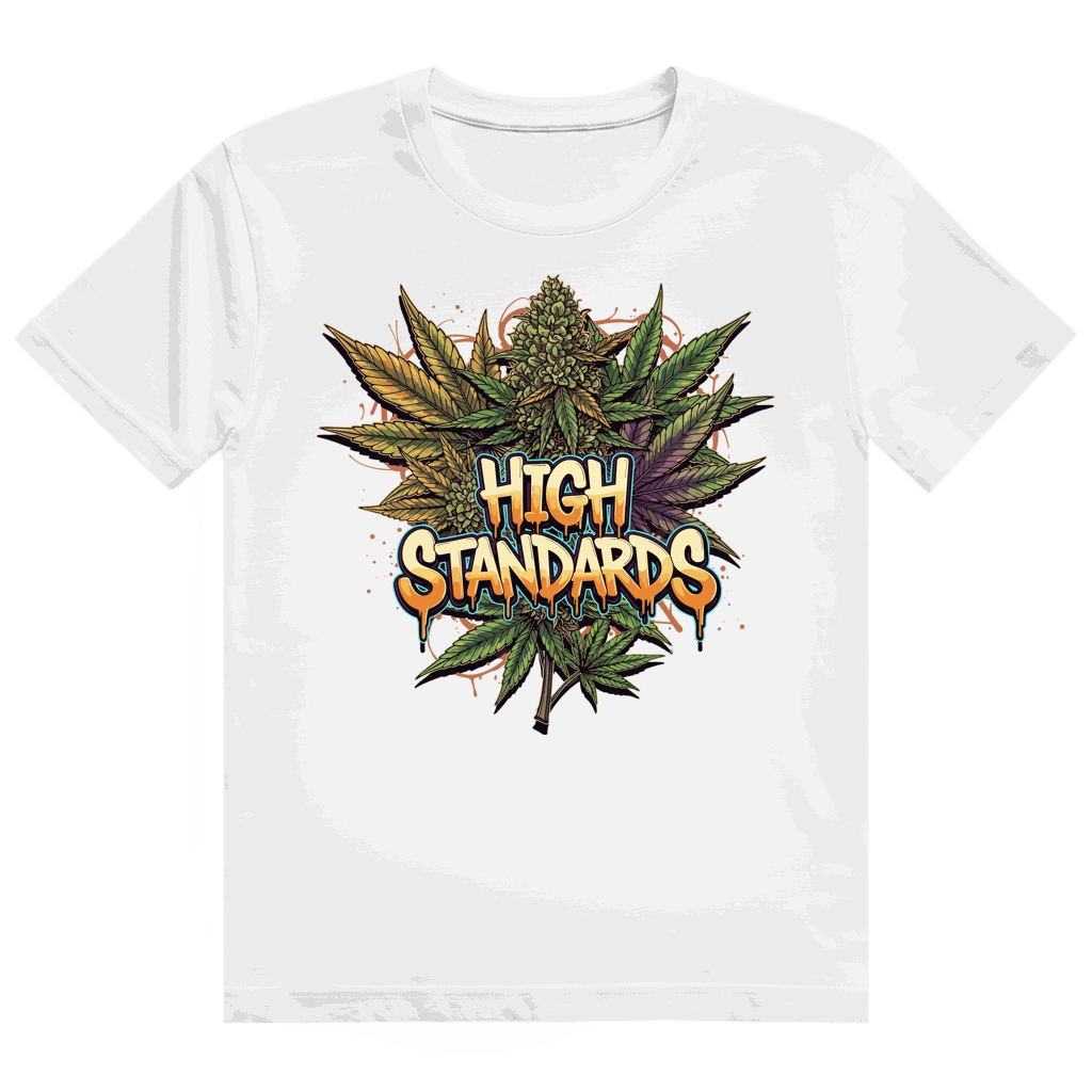 Heavy Cotton T-Shirt - High Standards | Division420®