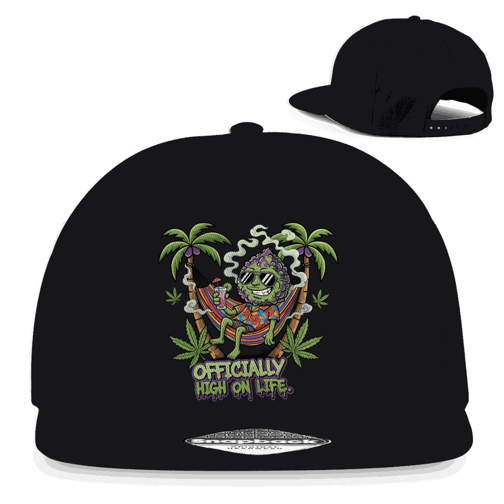 Snapback Rapper Cap - Officially High On Life | Division420®
