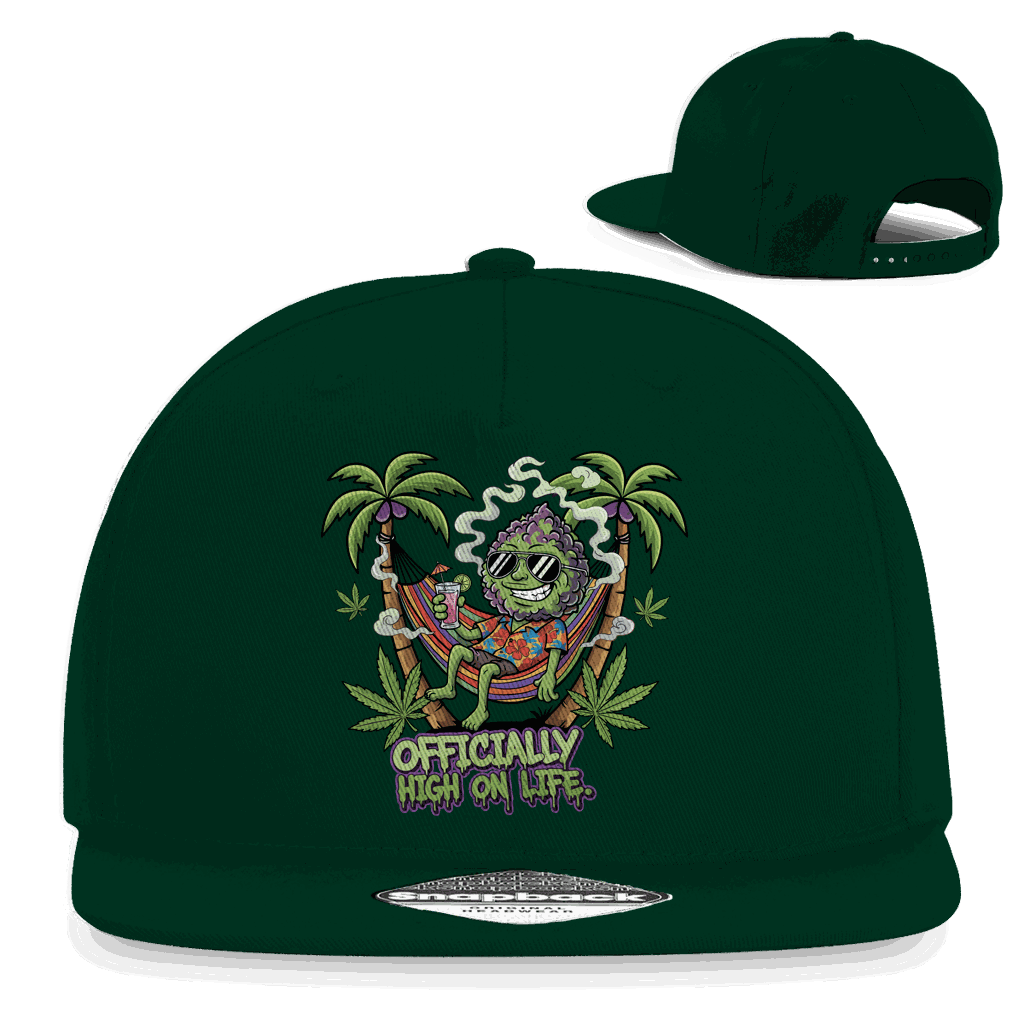 Snapback Rapper Cap - Officially High On Life | Division420®