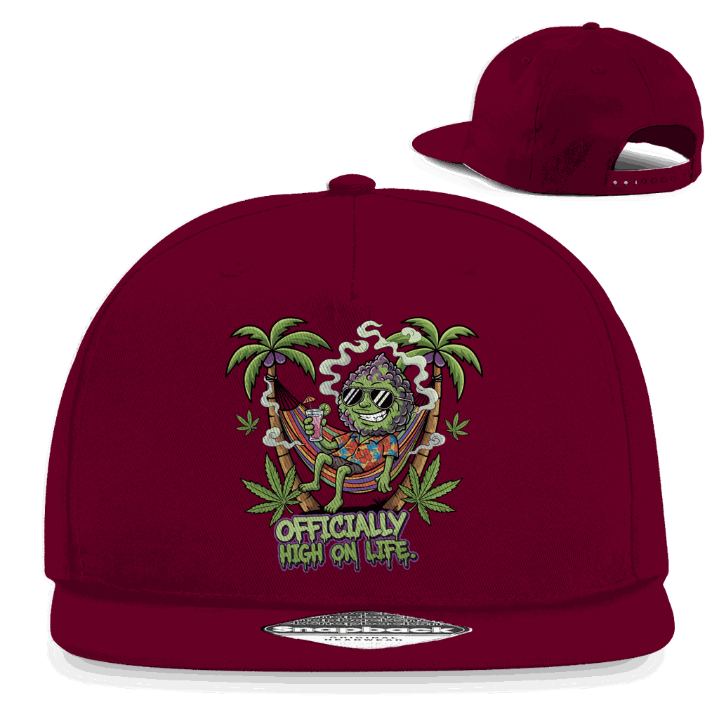 Snapback Rapper Cap - Officially High On Life | Division420®