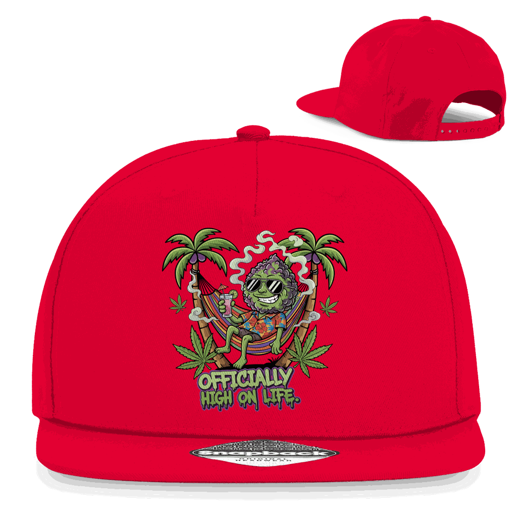 Division420 Snapback Cap aus Baumwoll-Twill mit flachem Schirm und Retro-Snapback-Verschluss, urbaner Rapper Style