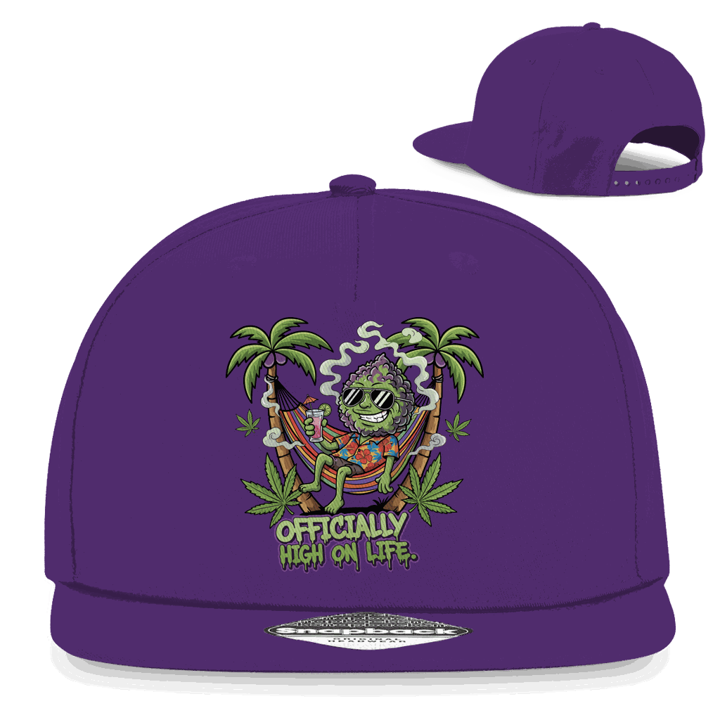 Snapback Rapper Cap - Officially High On Life | Division420®