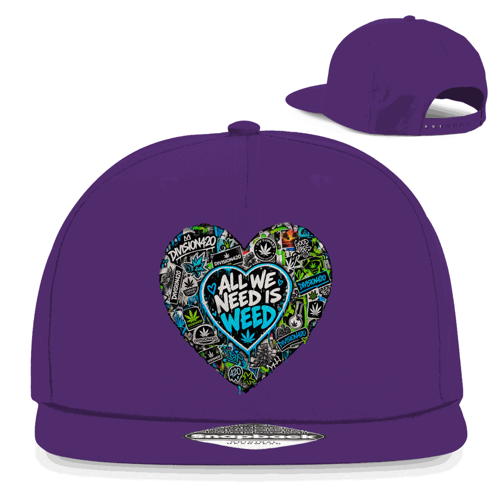Snapback Rapper Cap - All we need | Division420®